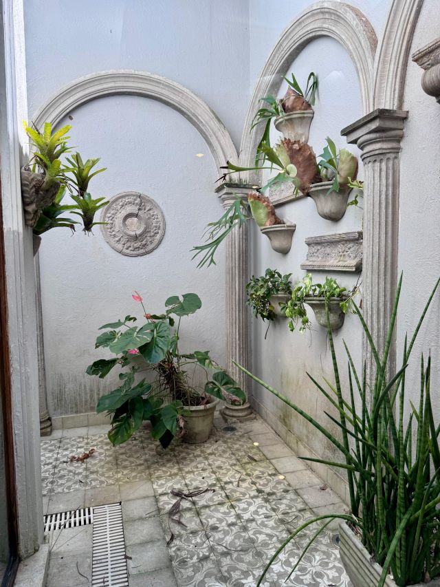 Foto 11